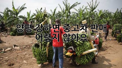 양평 강하면 중고차 판매, 어렵지 않아요!